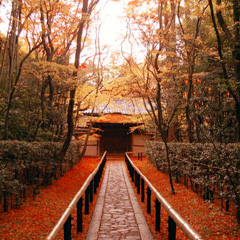 大徳寺 高桐院 京都の紅葉 丸竹夷