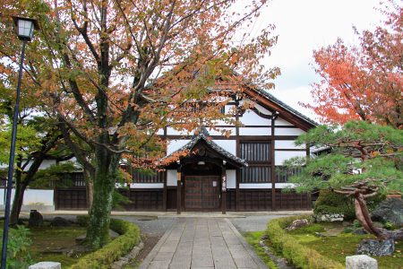 妙覺寺 紅葉 1