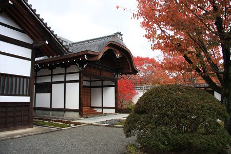 妙覺寺 紅葉 2