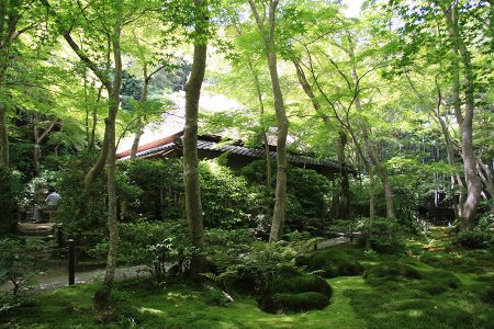 祇王寺 写真 1
