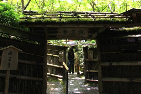 祇王寺 写真 3