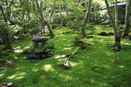 祇王寺 写真 7
