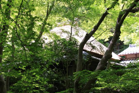祇王寺 写真 12