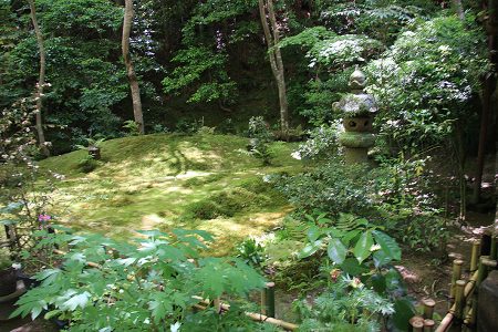 祇王寺 写真 14