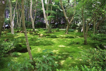祇王寺 写真 15
