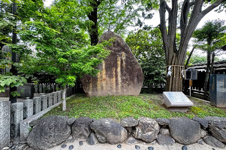 護王神社 写真 7