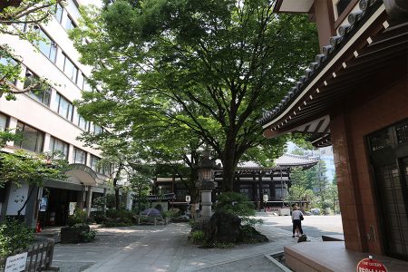 本能寺 写真 5