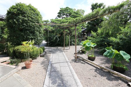 法住寺 写真 4