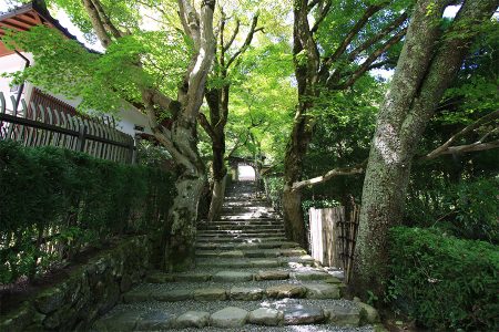 寂光院 写真 1