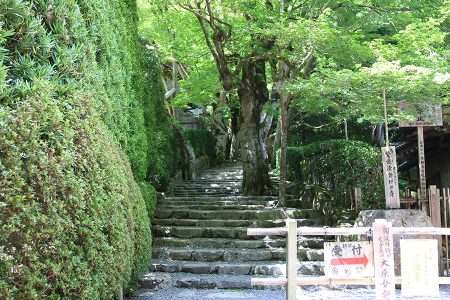 寂光院 写真 2
