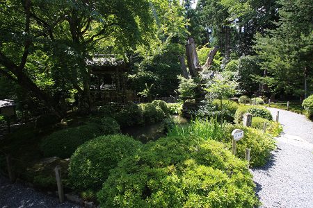 寂光院 写真 5