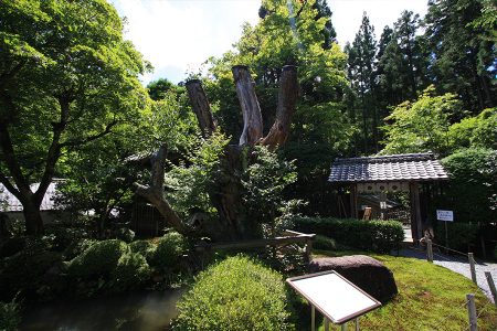 寂光院 写真 9
