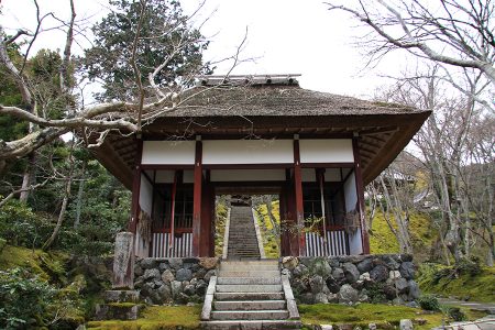 常寂光寺 写真 1