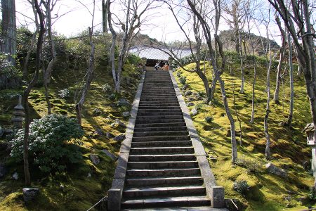 常寂光寺 写真 3