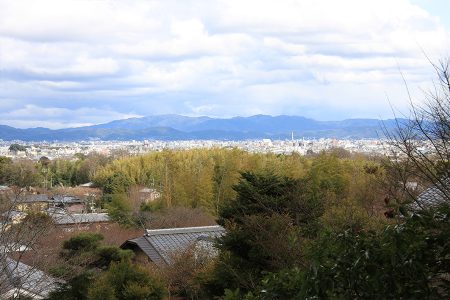 常寂光寺 写真 14