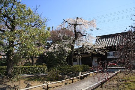 上品蓮台寺 写真 11