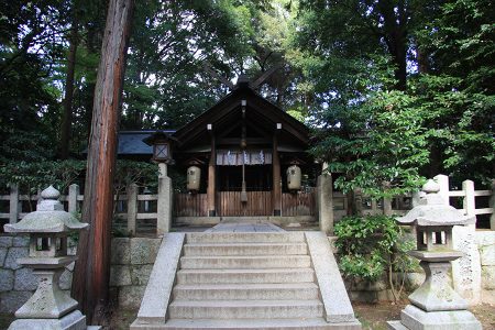 木嶋坐天照御魂神社（蚕ノ社） 写真 6