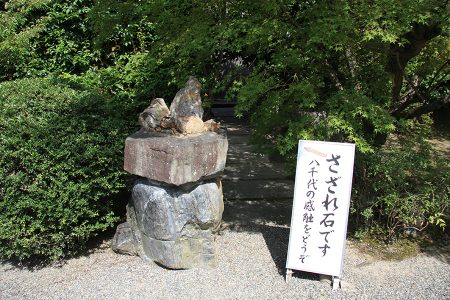 勧修寺 写真 5