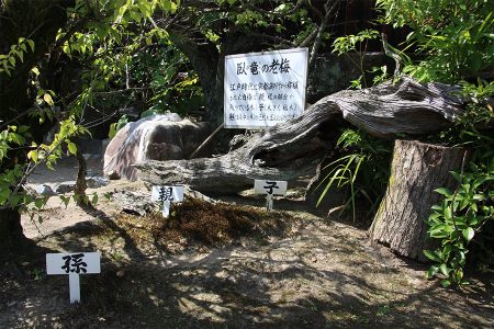 勧修寺 写真 10