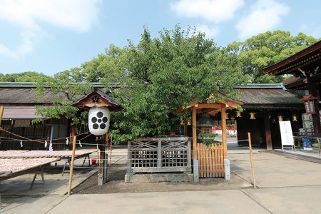 北野天満宮 写真 16