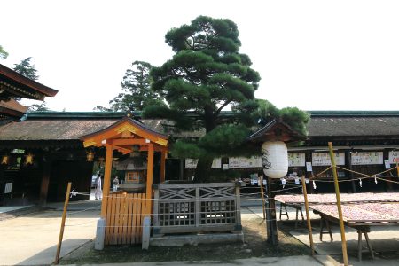 北野天満宮 写真 17