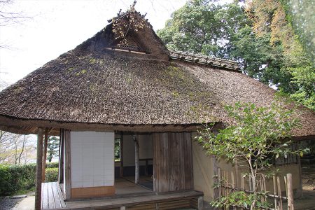 金福寺 写真 7