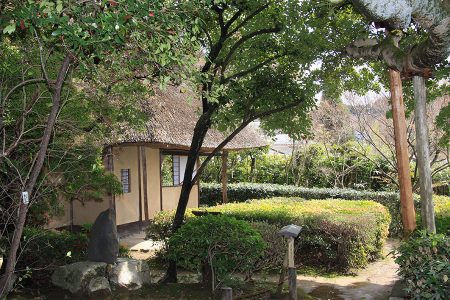 金福寺 写真 11