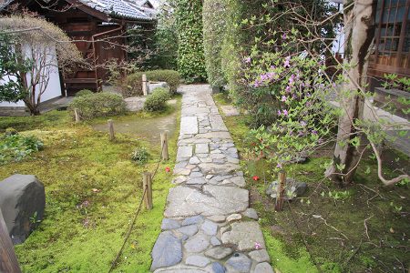 金福寺 写真 18