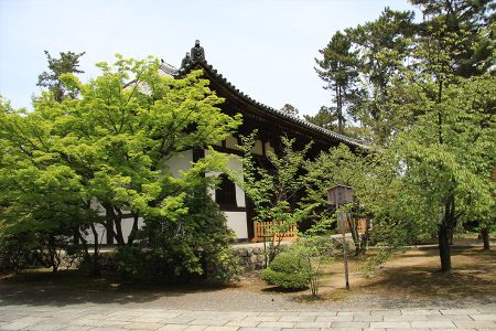 広隆寺 写真 5