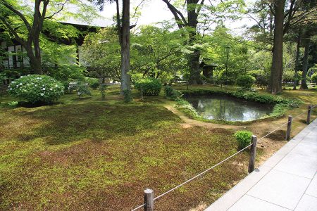 広隆寺 写真 17