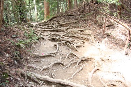 鞍馬寺 写真 16