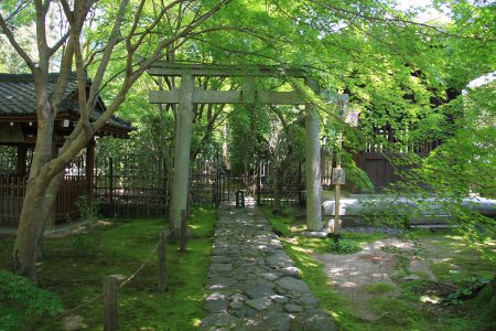蓮華寺 写真 2