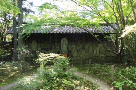 蓮華寺 写真 3