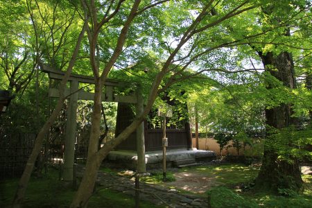 蓮華寺 写真 4