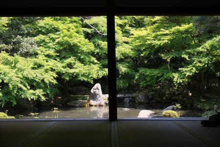 蓮華寺 写真 6