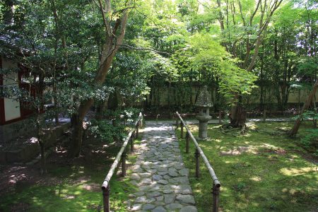 蓮華寺 写真 8