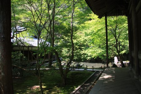 蓮華寺 写真 9