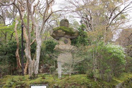 赤山禅院 写真 3