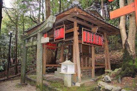 赤山禅院 写真 12