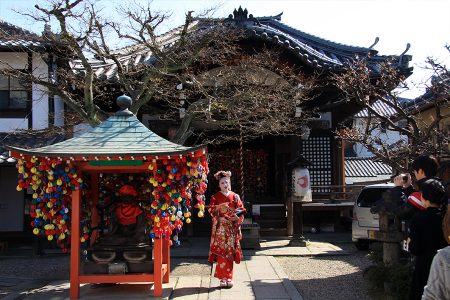 八坂庚申堂（金剛寺） 写真 5