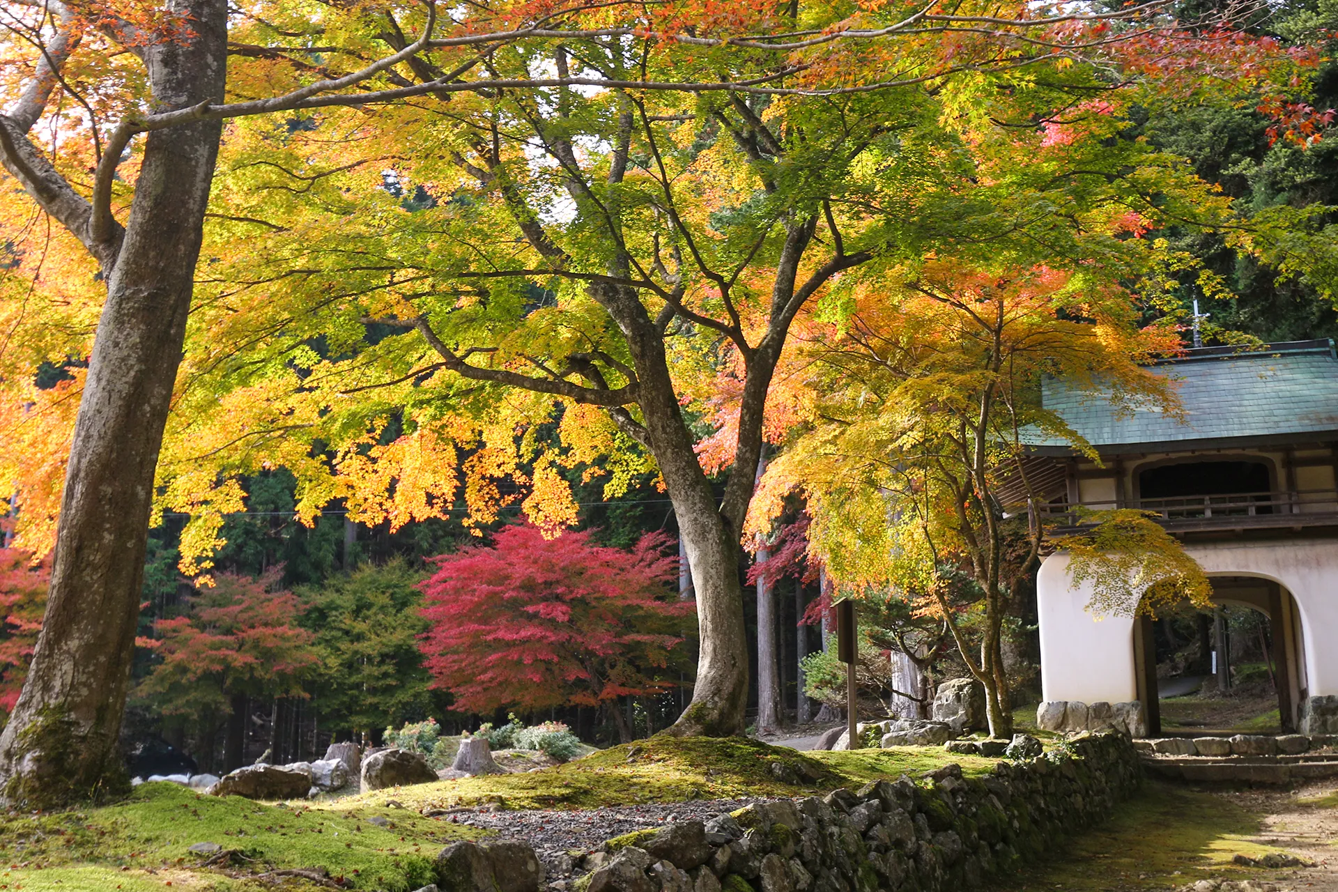 Autumn