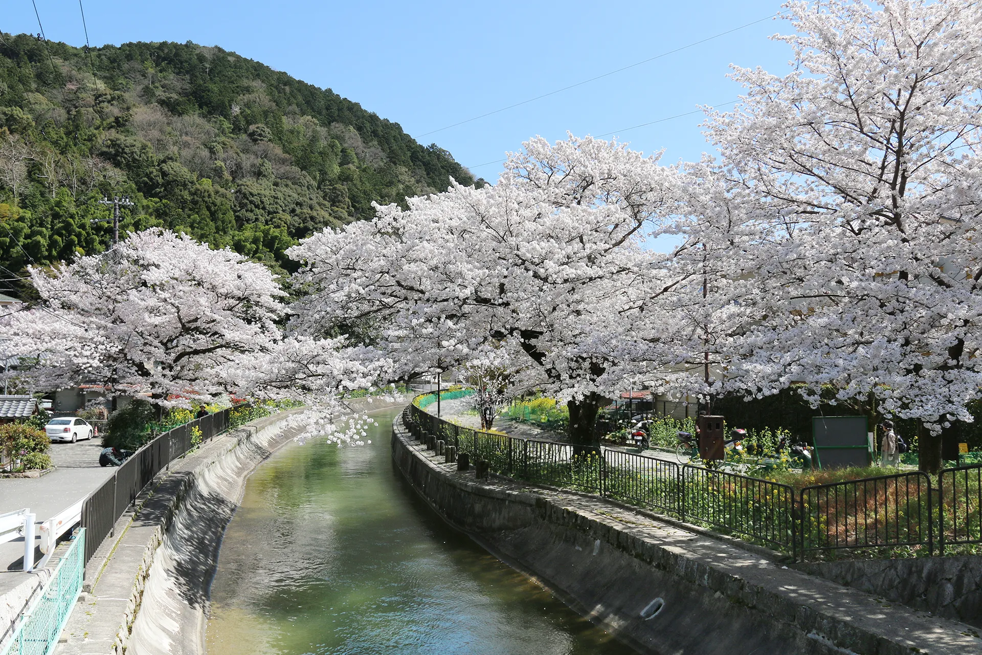 Spring
