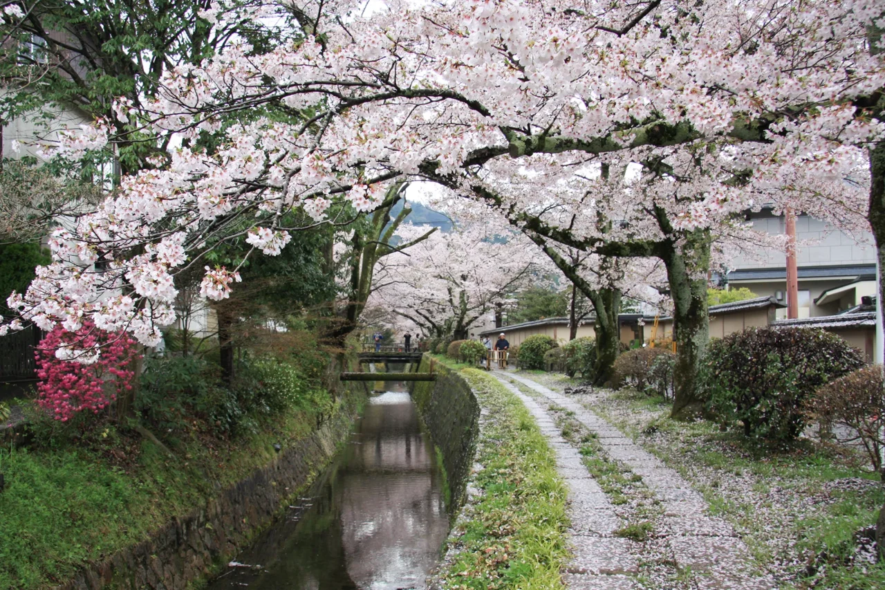 哲学の道