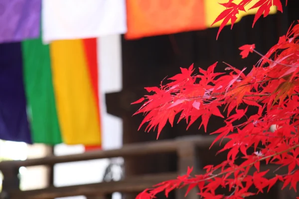 光明寺