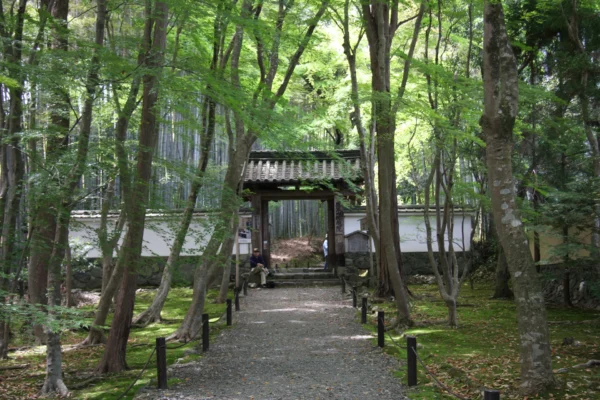 竹の寺 地蔵院