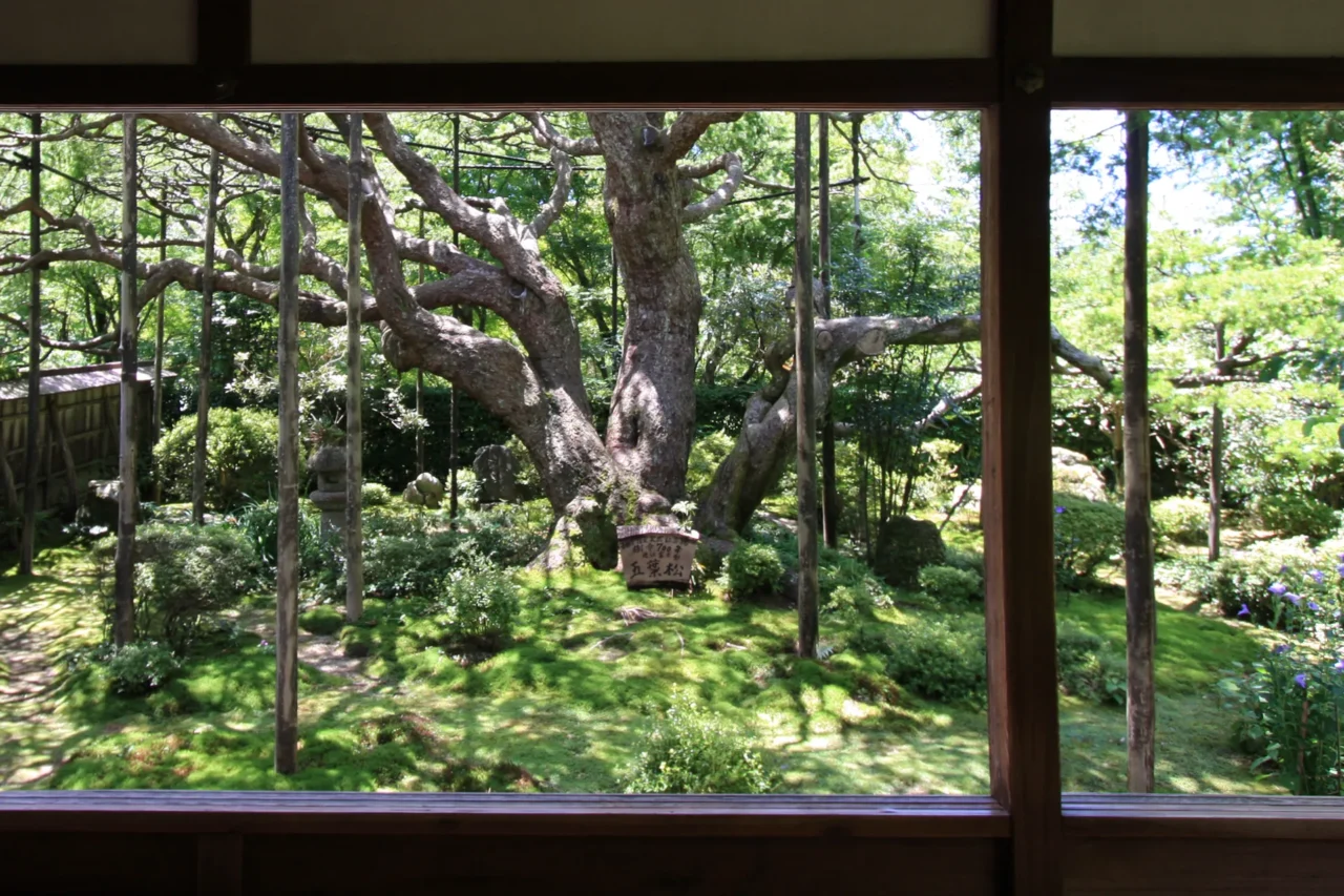 宝泉院