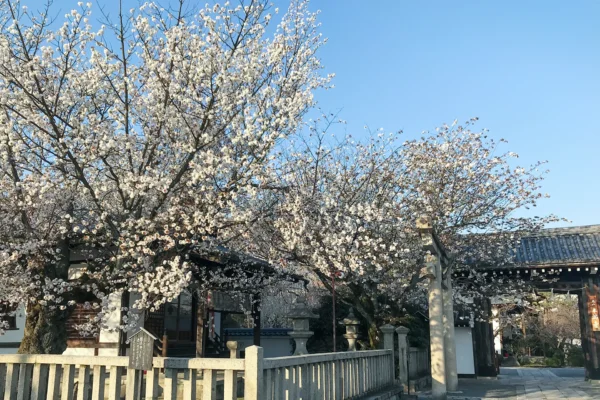 本満寺