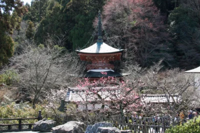 虚空蔵法輪寺