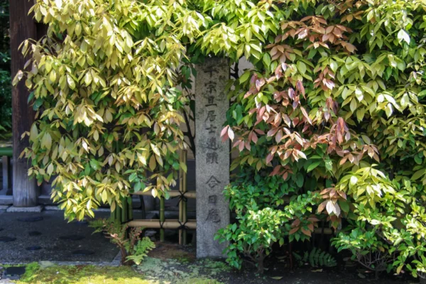 今日庵（裏千家）