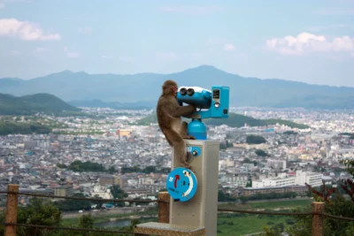 Arashiyama Monkey Park Iwatayama